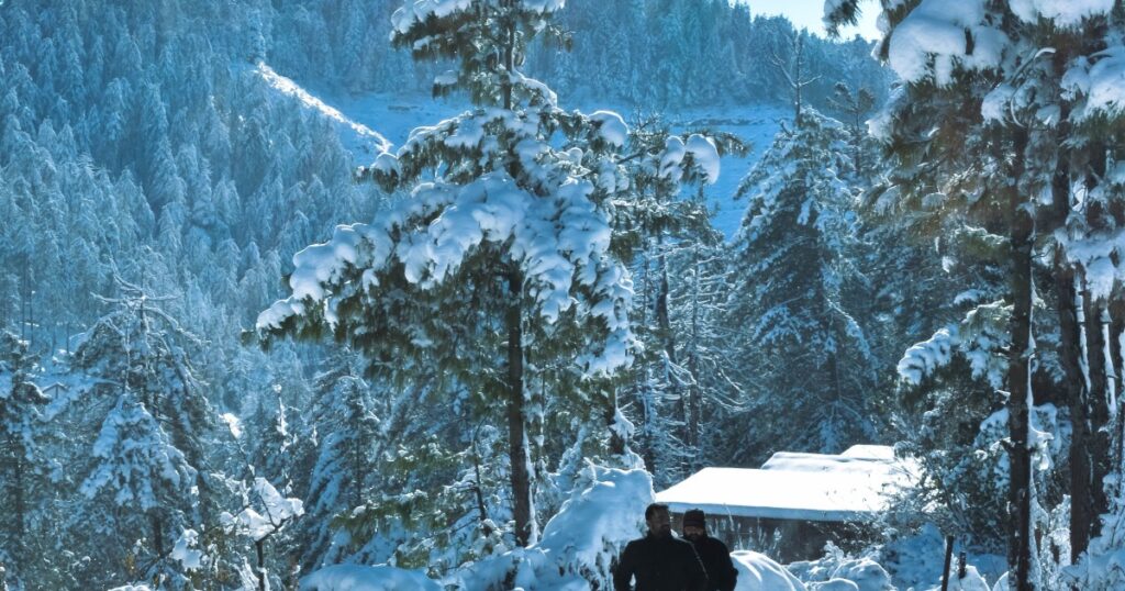 Nainital Winter Snowfall: Complete Guide To Explore